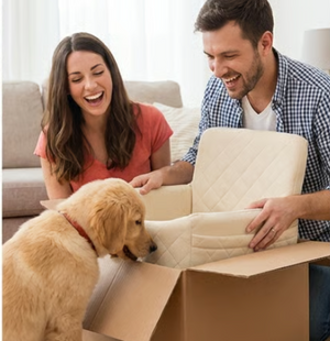 Screenshot 2026-01-26 184019.png