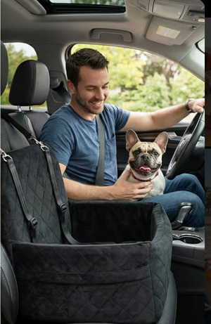 Screenshot 2026-01-26 184428.png