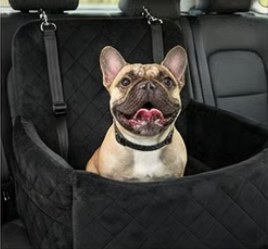 Screenshot 2026-01-26 184758.png